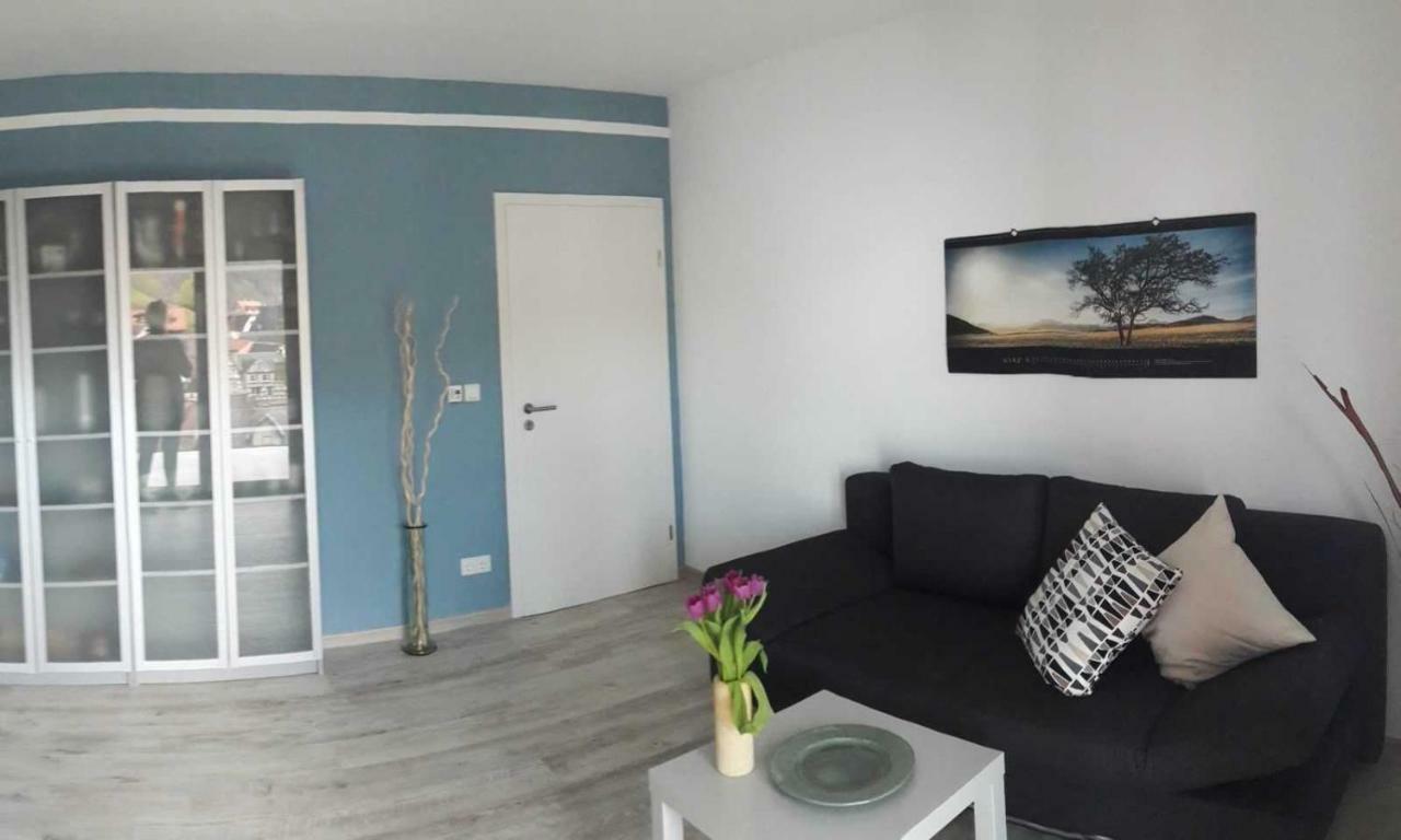 Ferienwohnung Casa Rossa เนคคาร์ชไตนัค ภายนอก รูปภาพ